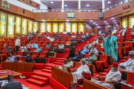  Nigerians Label the Senate as a Criminal Enterprise as N500 Million Scandal Blows Up