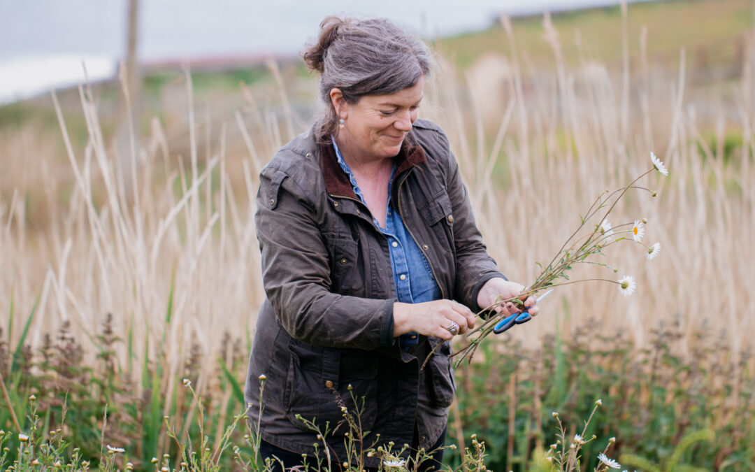 New tools for innkeepers, weavers and florists: How AI is reaching the farthest edges of Ireland​