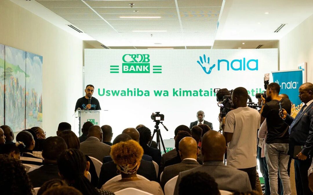 Tanzania’s NALA raises $40m series A funding to fuel global expansion and B2B payments​