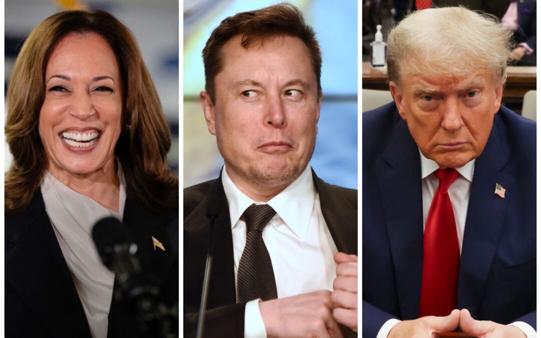 Harris Campaign Cackles At Elon Musk & Deleterious Dorito’s Disastrous Interview, Slams ‘Self-Obsessed Rich Guys’ Who Can’t Run A Livestream​