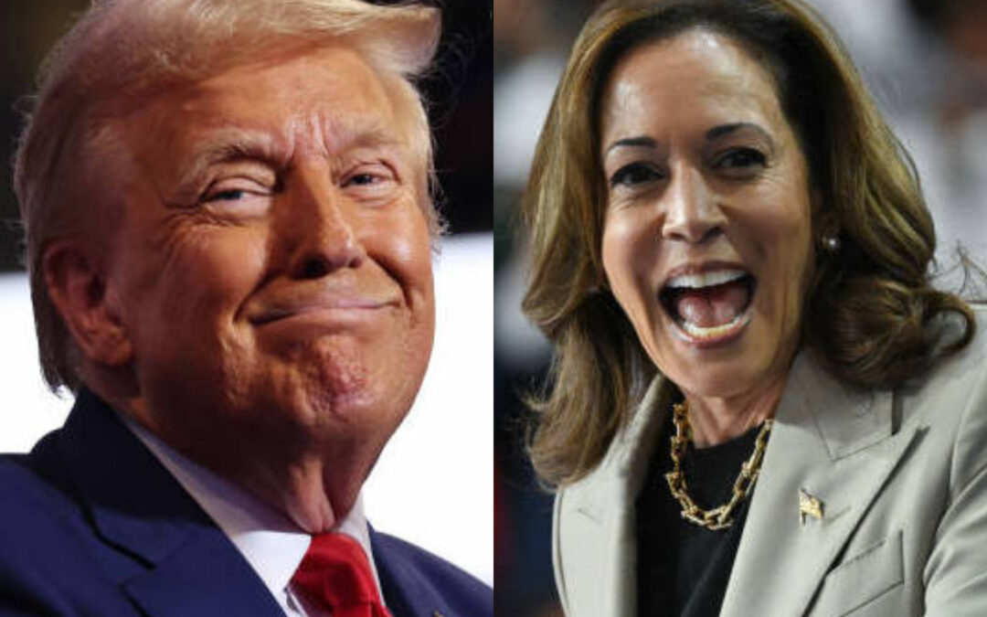 Beauty KKKing: Donald Trump Says He’s Better Looking Than VP Kamala Harris, MAGA Is Extremely Unserious​