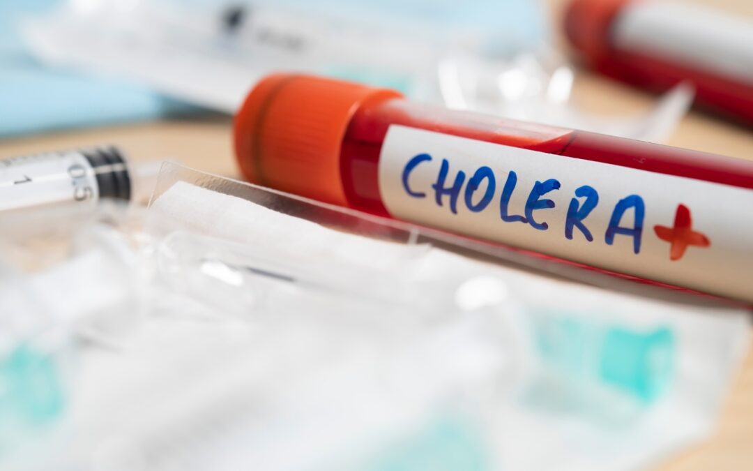 Understanding Cholera: Prevention, Symptoms, and Treatment