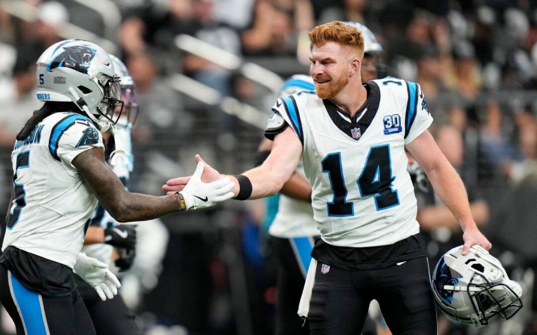 ‘A vet presence’: Panthers praise Dalton after win​