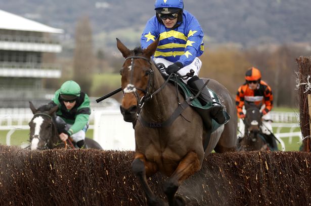 Newsboy’s ITV selections for Cheltenham and Doncaster, plus tips on all Friday’s UK races​