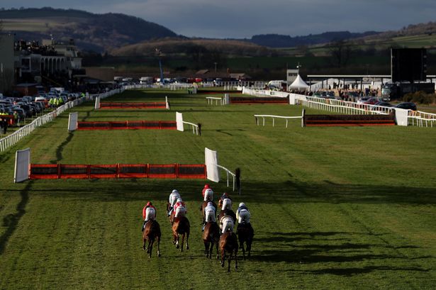 Newsboy’s horse racing selections for Thursday’s five meetings, including Ludlow Nap​