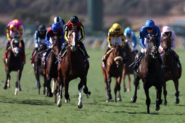 British Royal Ascot winner collapses and dies after finishing seventh in Breeders’ Cup Turf​