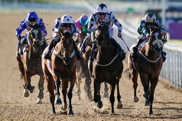 Newsboy’s horseracing tips for Monday’s five meetings, including Wolverhampton Nap​