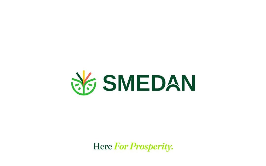 Energy price hike affecting small businesses negatively – SMEDAN