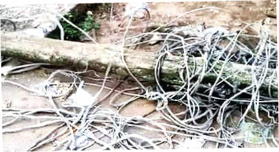 Blackout in Calabar as windstorm destroys electric poles