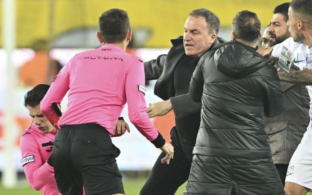 Ex-Turkish club boss jailed for punching referee​​