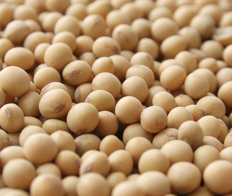 Operators target 80% soybean use in Nigeria