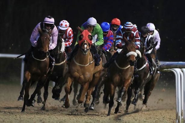 Newsboy’s horse racing selections for Monday’s three meetings, including Wolverhampton Nap​